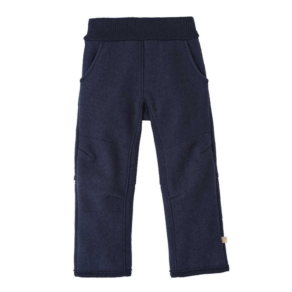 Disana boiled wool trousers in aubergine