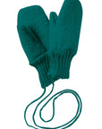 Disana boiled wool mittens in pacific