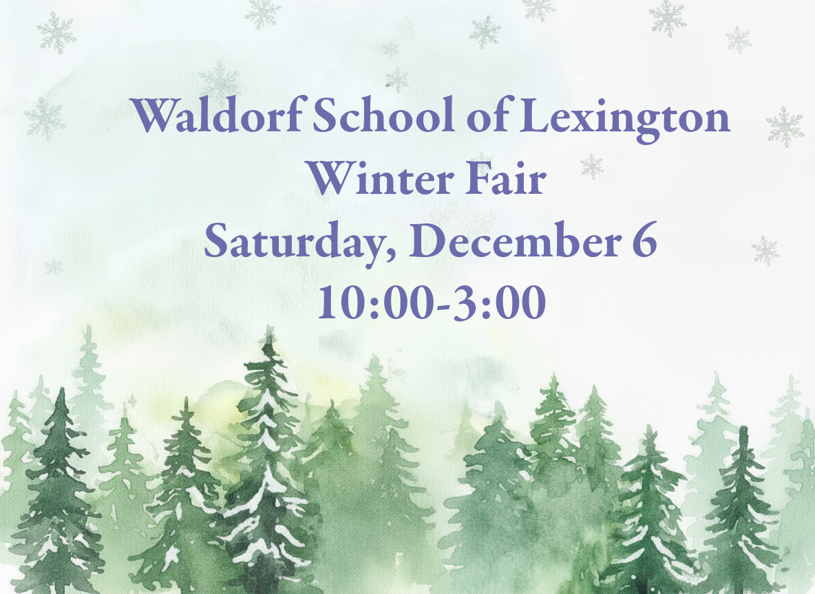 Lexington waldorf school fair promotional image 
