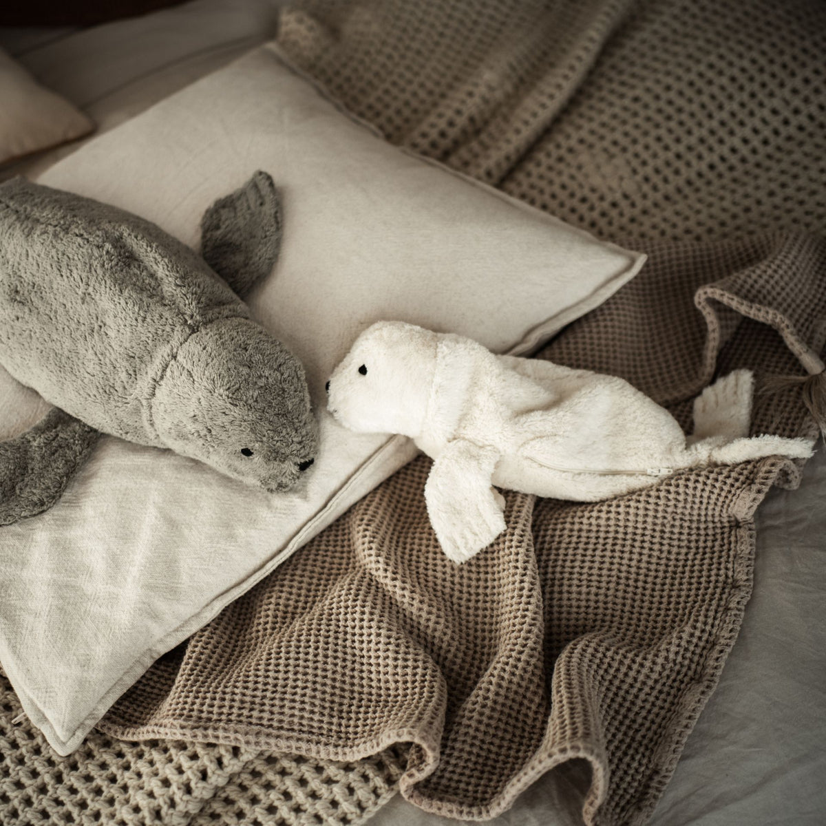 Lifestyle of Senger organic cotton non-toxic Cuddly small white seal 