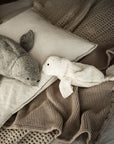 Lifestyle of Senger organic cotton non-toxic Cuddly small white seal 