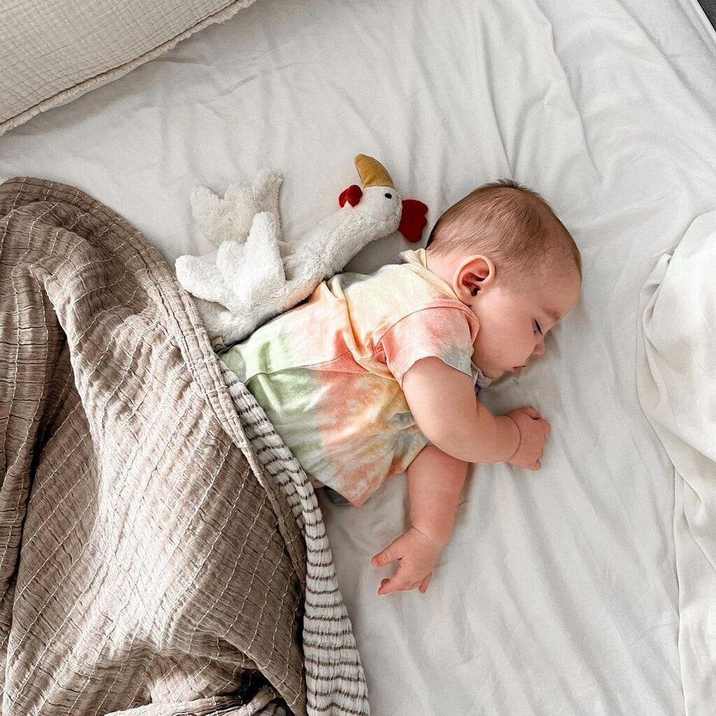 Baby sleeping with the Senger organic cotton non-toxic Cuddly white small chicken 