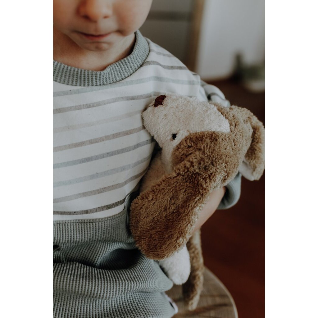 Young boy holding a Senger's organic cotton non-toxic floppy white beige small dog 