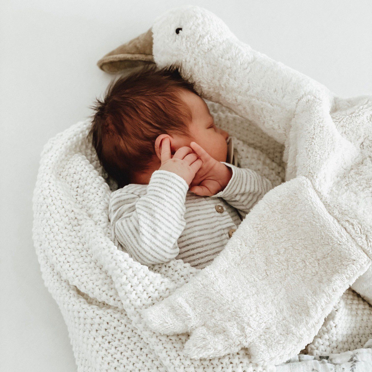 Baby sleeping with Senger Cuddly large white goose made of organic cotton non-toxic materials